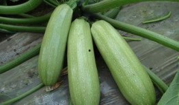 广德吃瓜最新事件爆料是真的吗,最新爆料真相揭秘